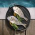 Outdoor Chef Griddle Plate 420