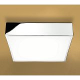 HIB Inertia Ceiling Light