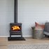Jotul F100 ECO Multi Fuel Stove