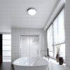 HIB Momentum Ceiling Light 