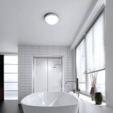 HIB Momentum Ceiling Light 
