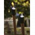 Rais - Light Cone 