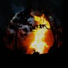 The Firepit Company - Wilderness Fire Pit