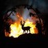 The Firepit Company - Wilderness Fire Pit