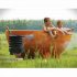Weltevree Dutchtub Original Hot Tub