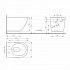 TOTO NC Wall Mounted Toilet